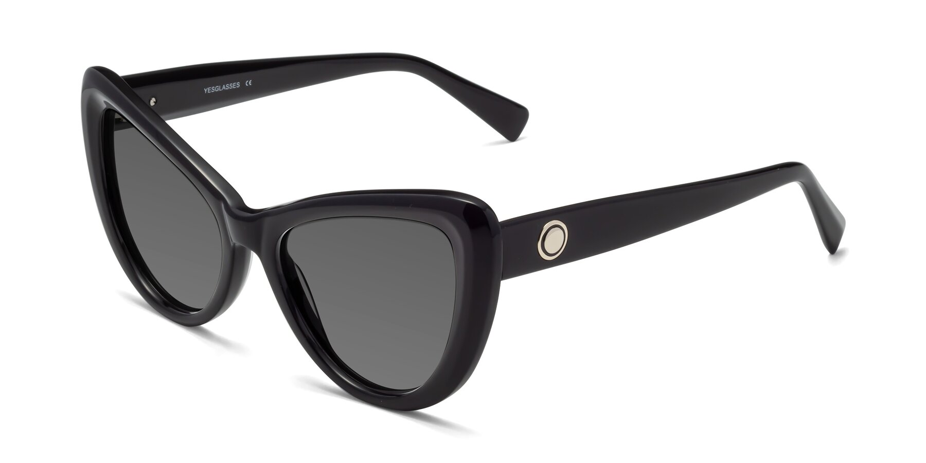 Angle of 1574 in Black with Medium Gray Tinted Lenses