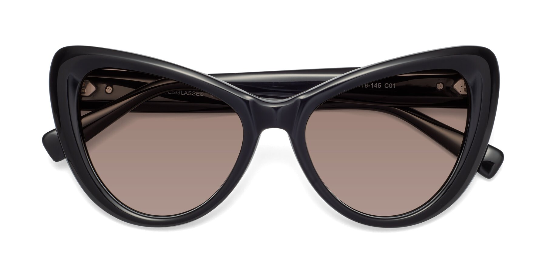 Folded Front of 1574 in Black with Medium Brown Tinted Lenses