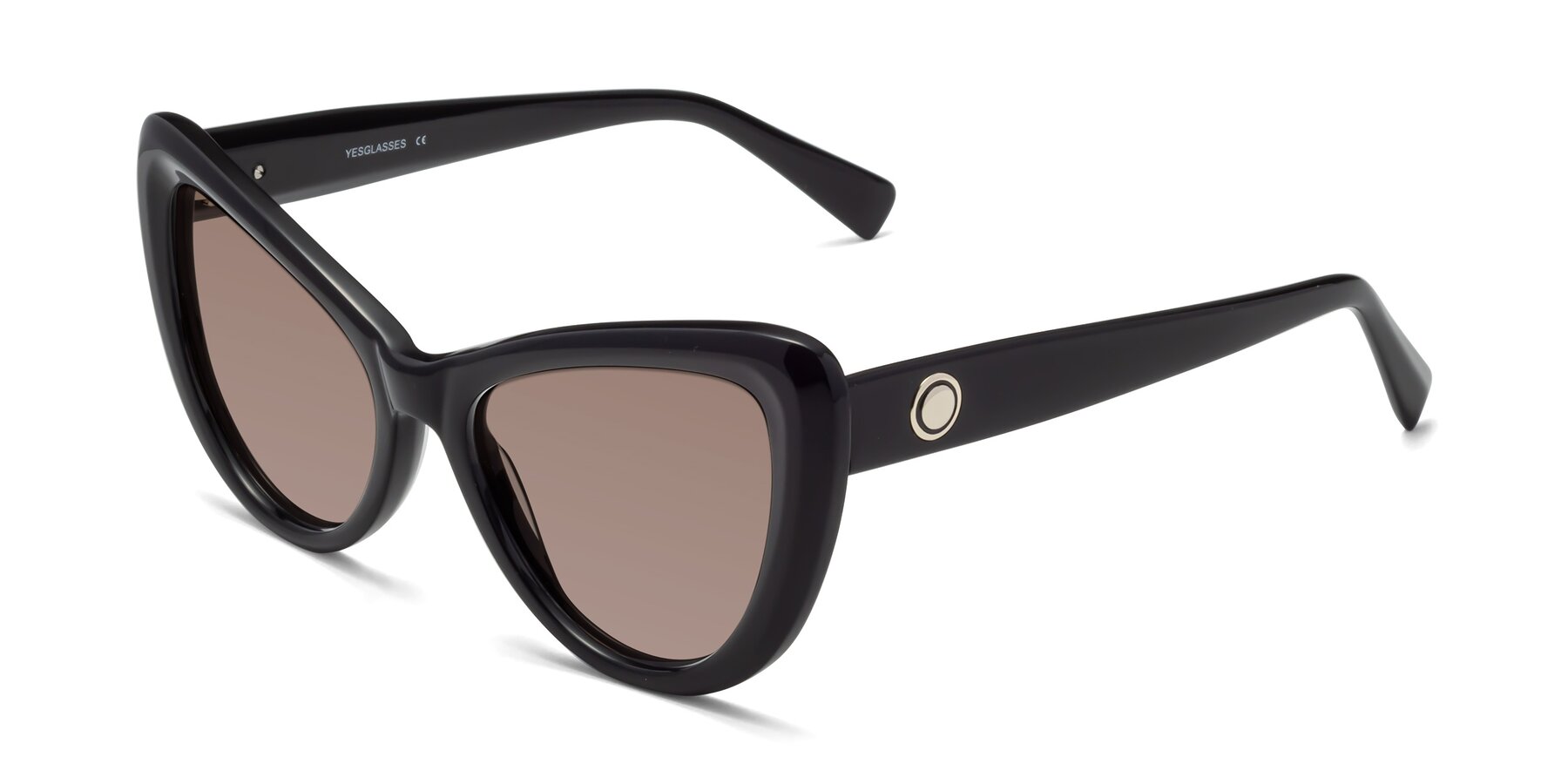Angle of 1574 in Black with Medium Brown Tinted Lenses