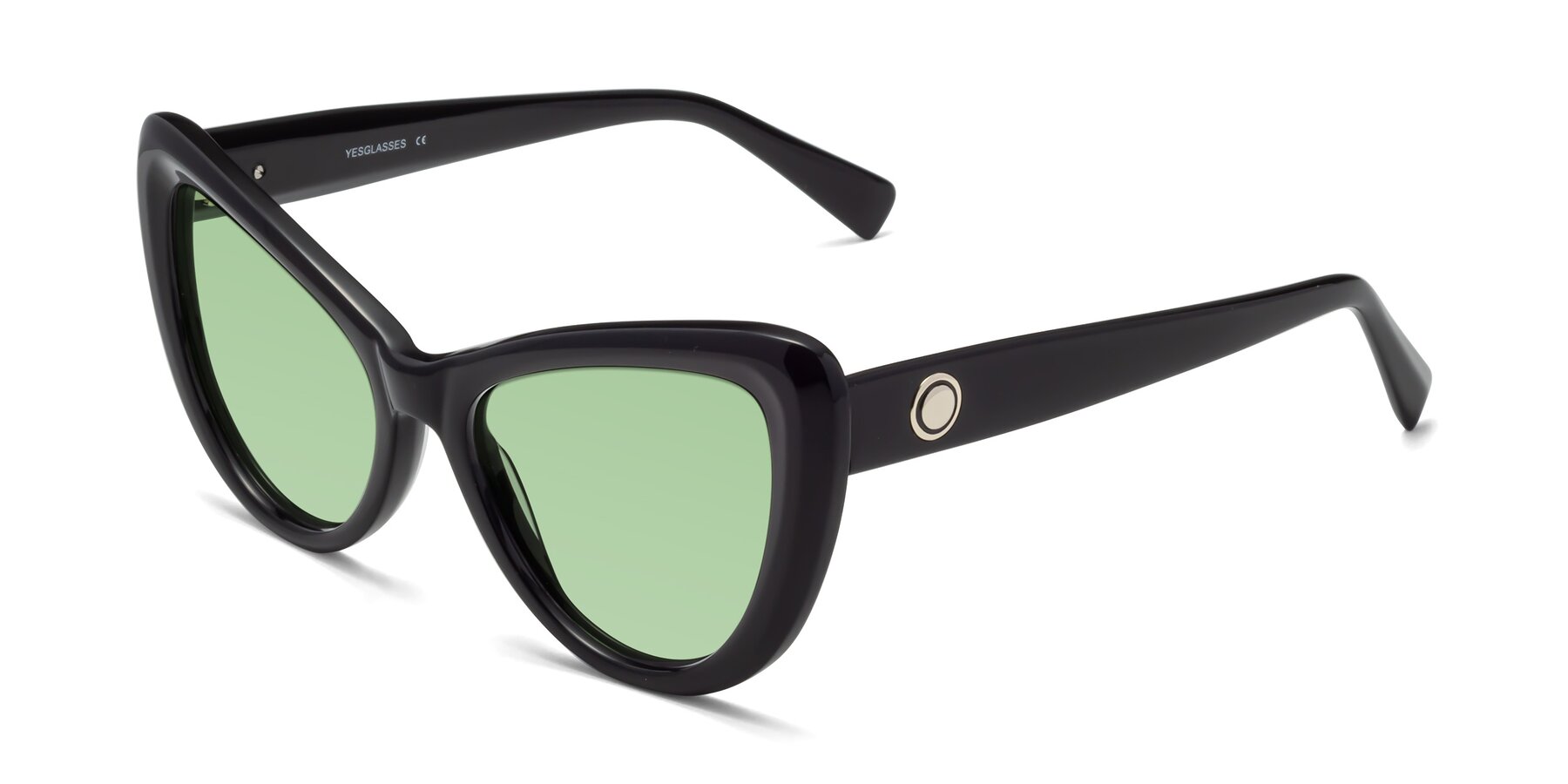 Angle of 1574 in Black with Medium Green Tinted Lenses