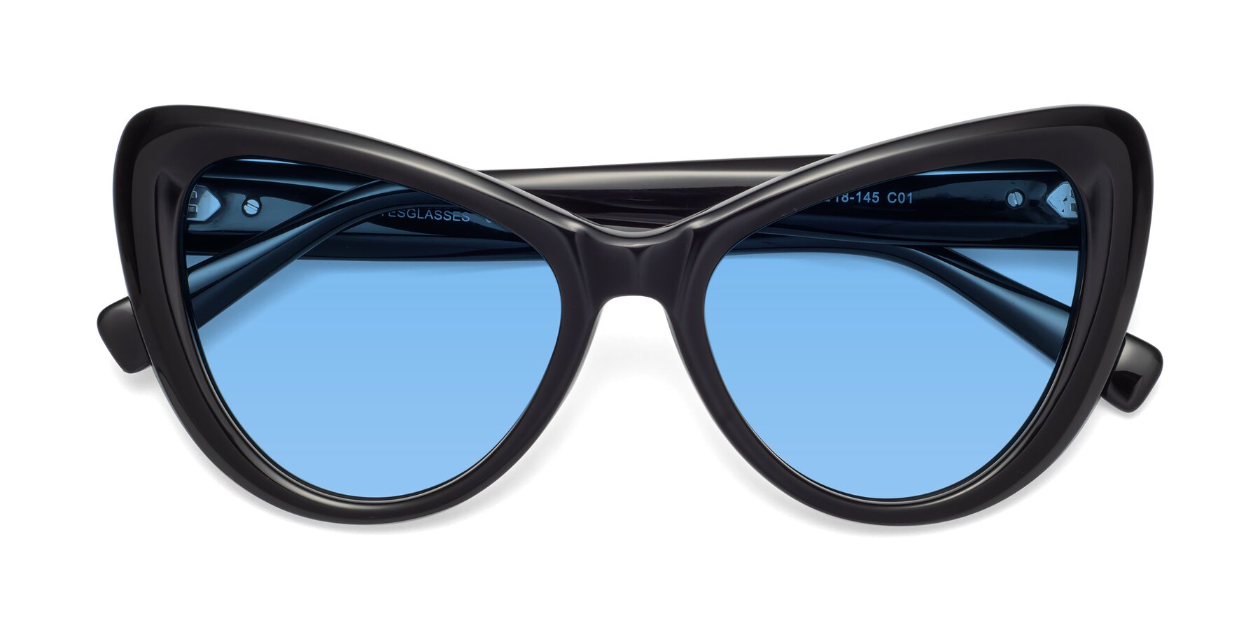 Folded Front of 1574 in Black with Medium Blue Tinted Lenses