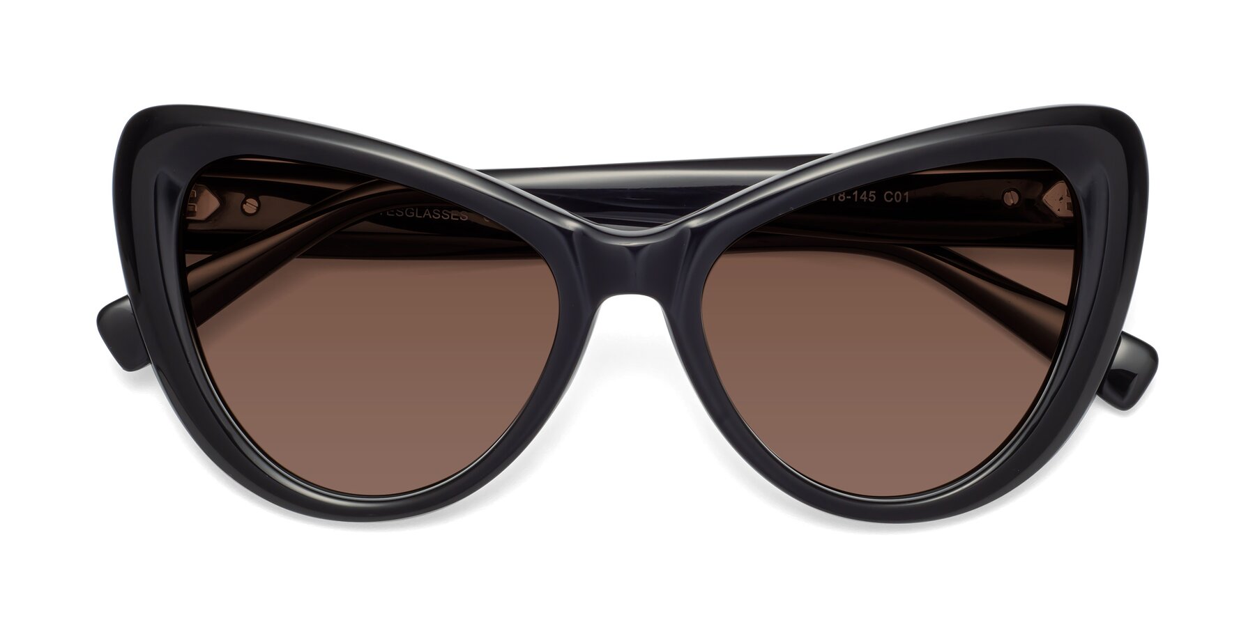 Folded Front of 1574 in Black with Brown Tinted Lenses