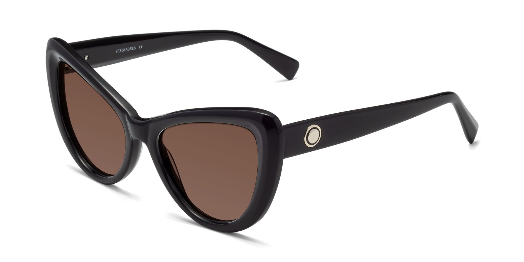 Angle of 1574 in Black with Brown Tinted Lenses