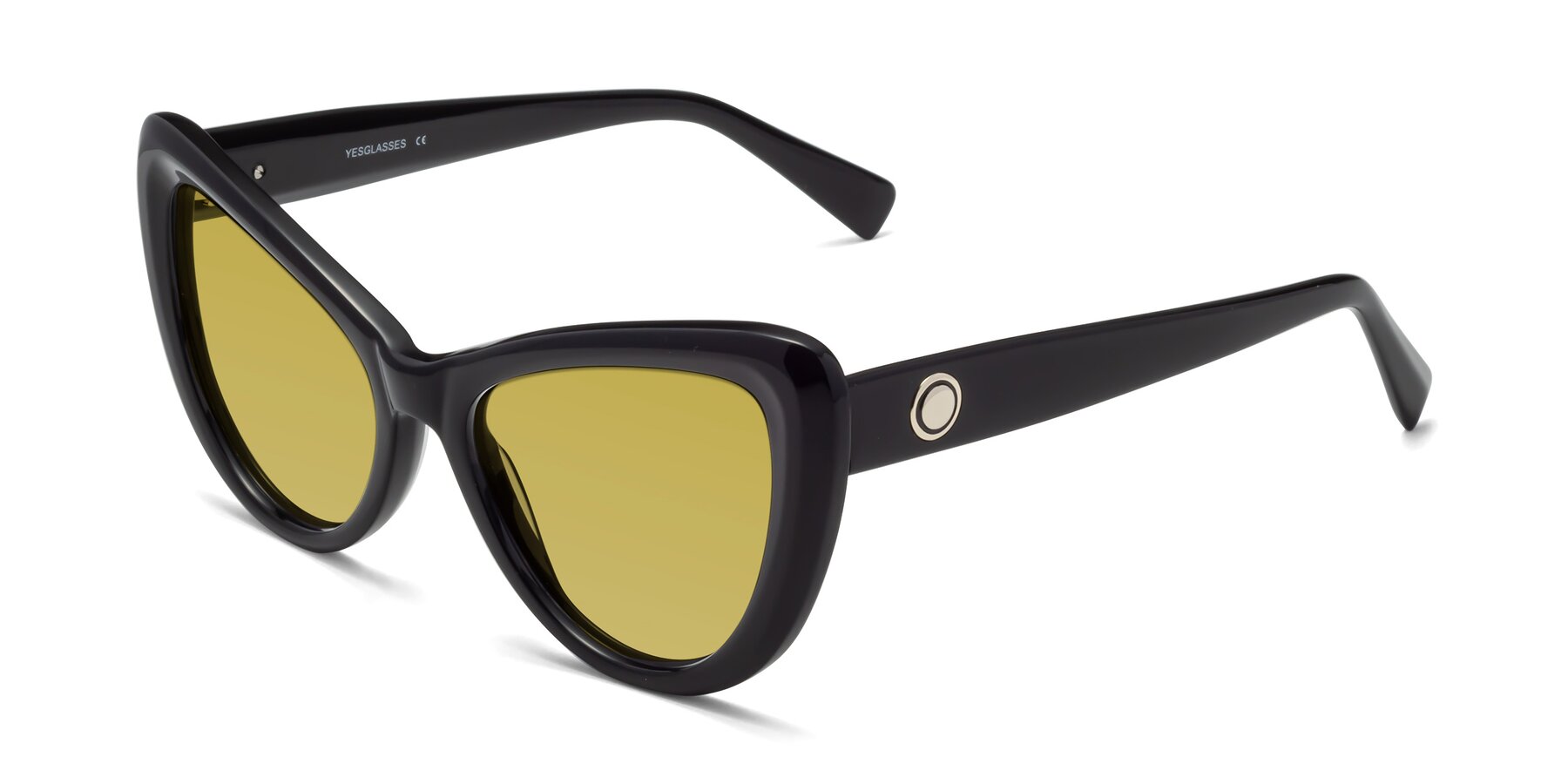 Angle of 1574 in Black with Champagne Tinted Lenses