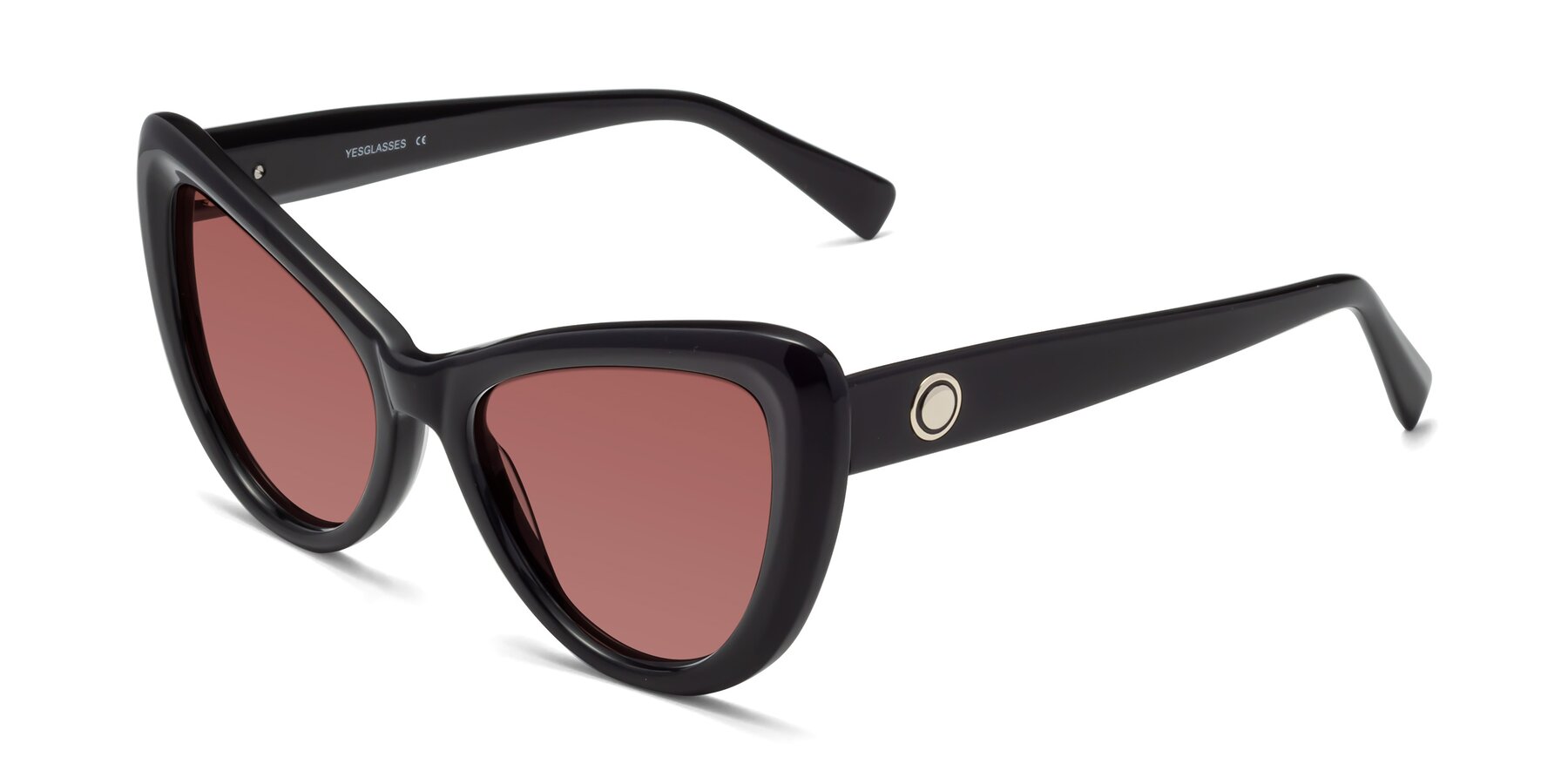 Angle of 1574 in Black with Garnet Tinted Lenses