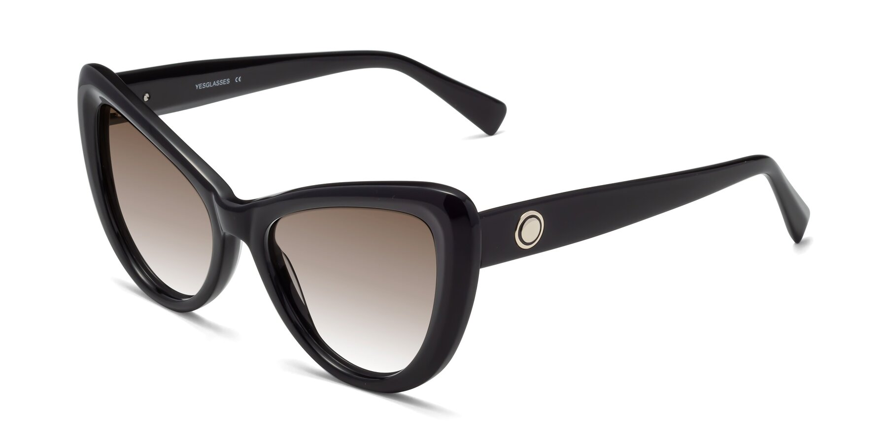 Angle of 1574 in Black with Brown Gradient Lenses