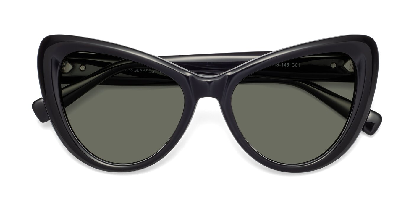 1574 - Black Polarized Sunglasses