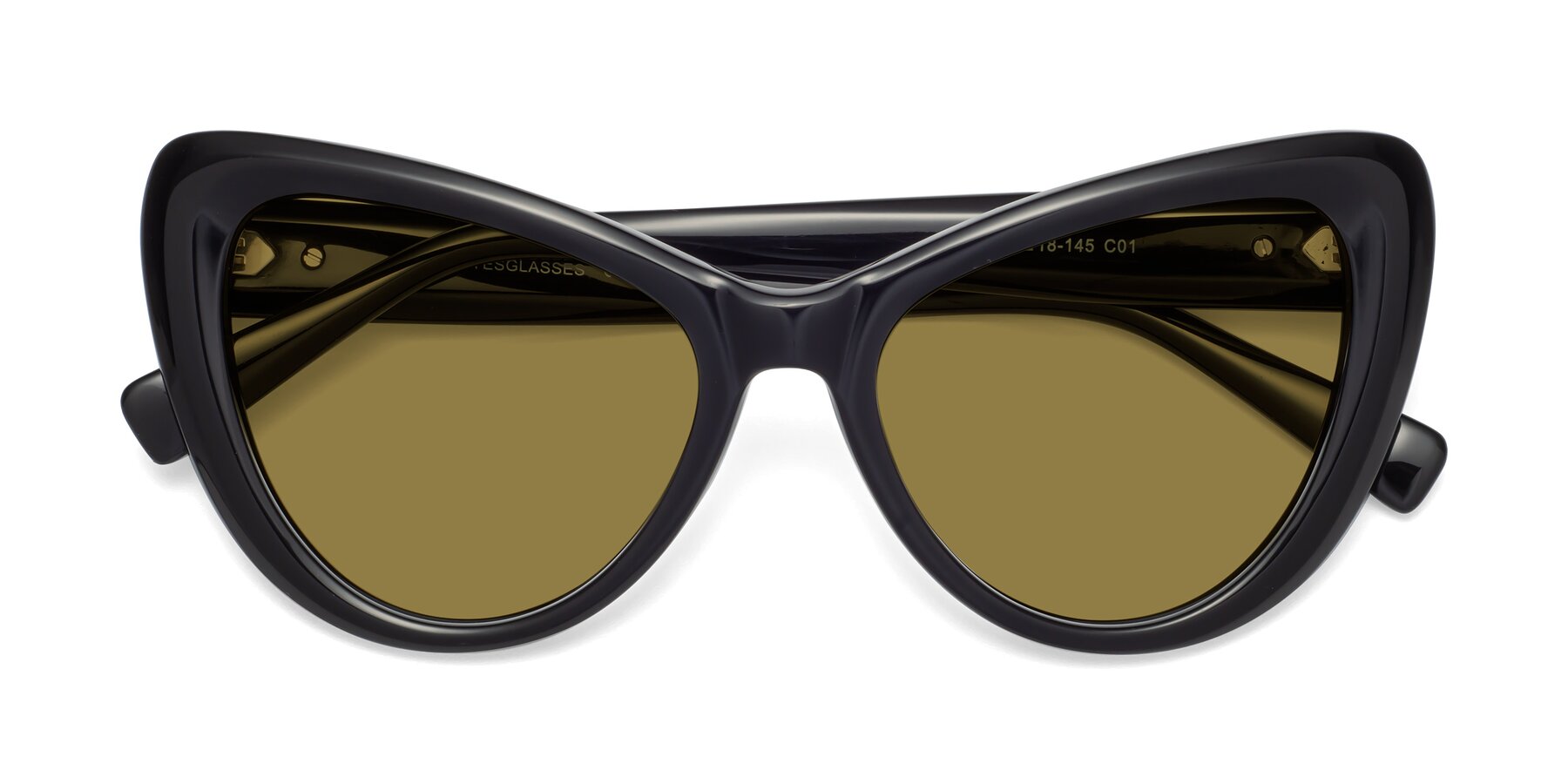 Folded Front of 1574 in Black with Brown Polarized Lenses