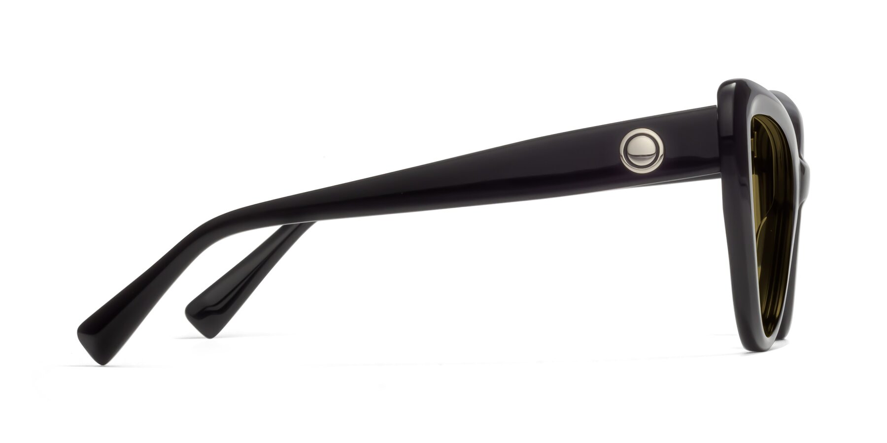 Side of 1574 in Black with Brown Polarized Lenses