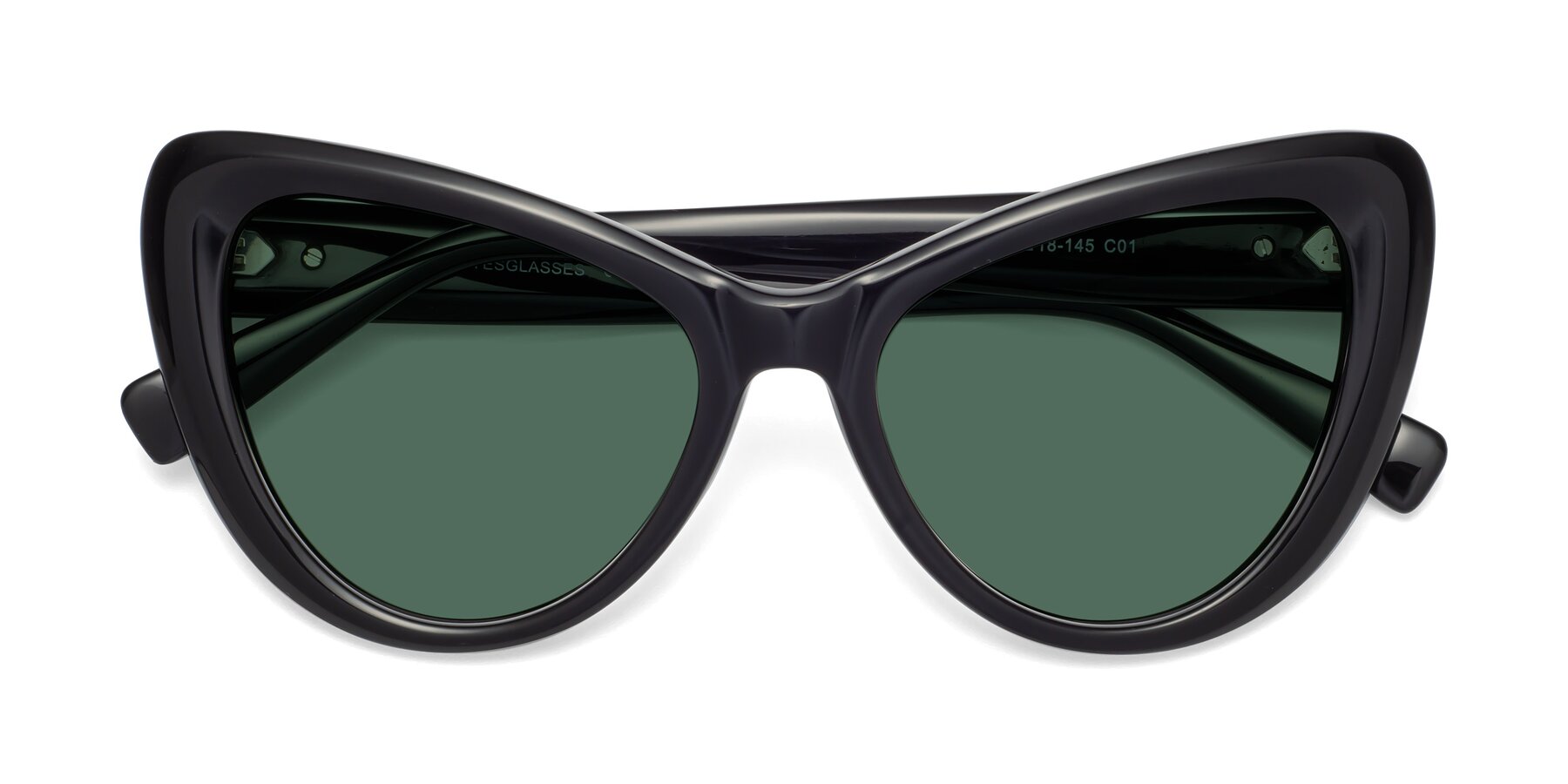 Folded Front of 1574 in Black with Green Polarized Lenses