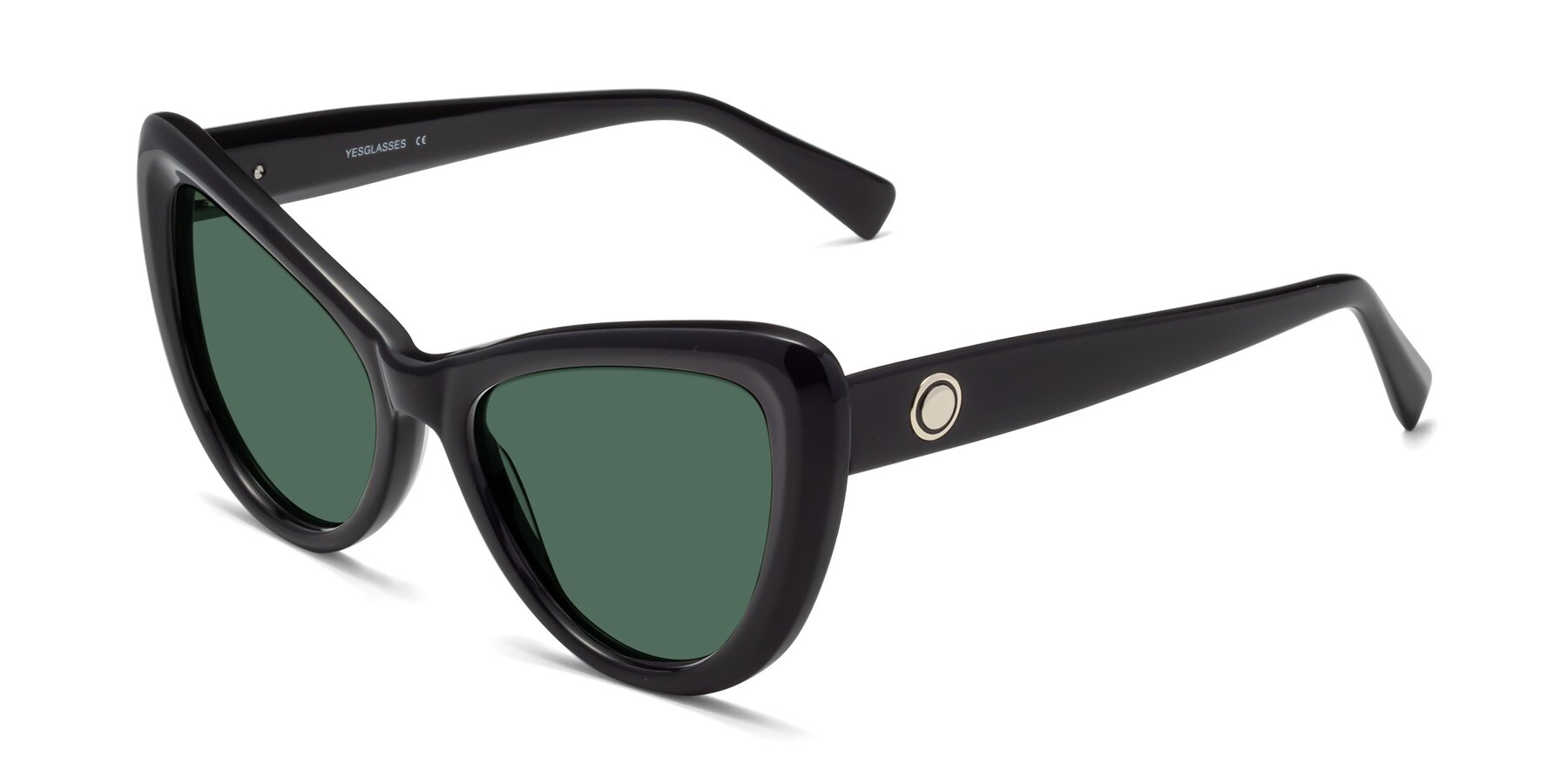 Angle of 1574 in Black with Green Polarized Lenses