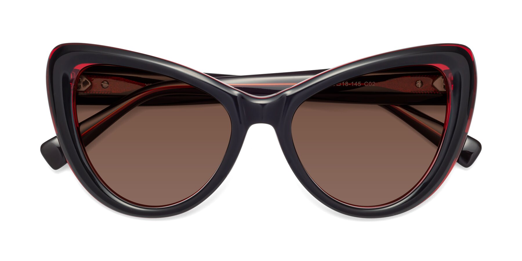 Folded Front of 1574 in Black-Wine with Brown Tinted Lenses