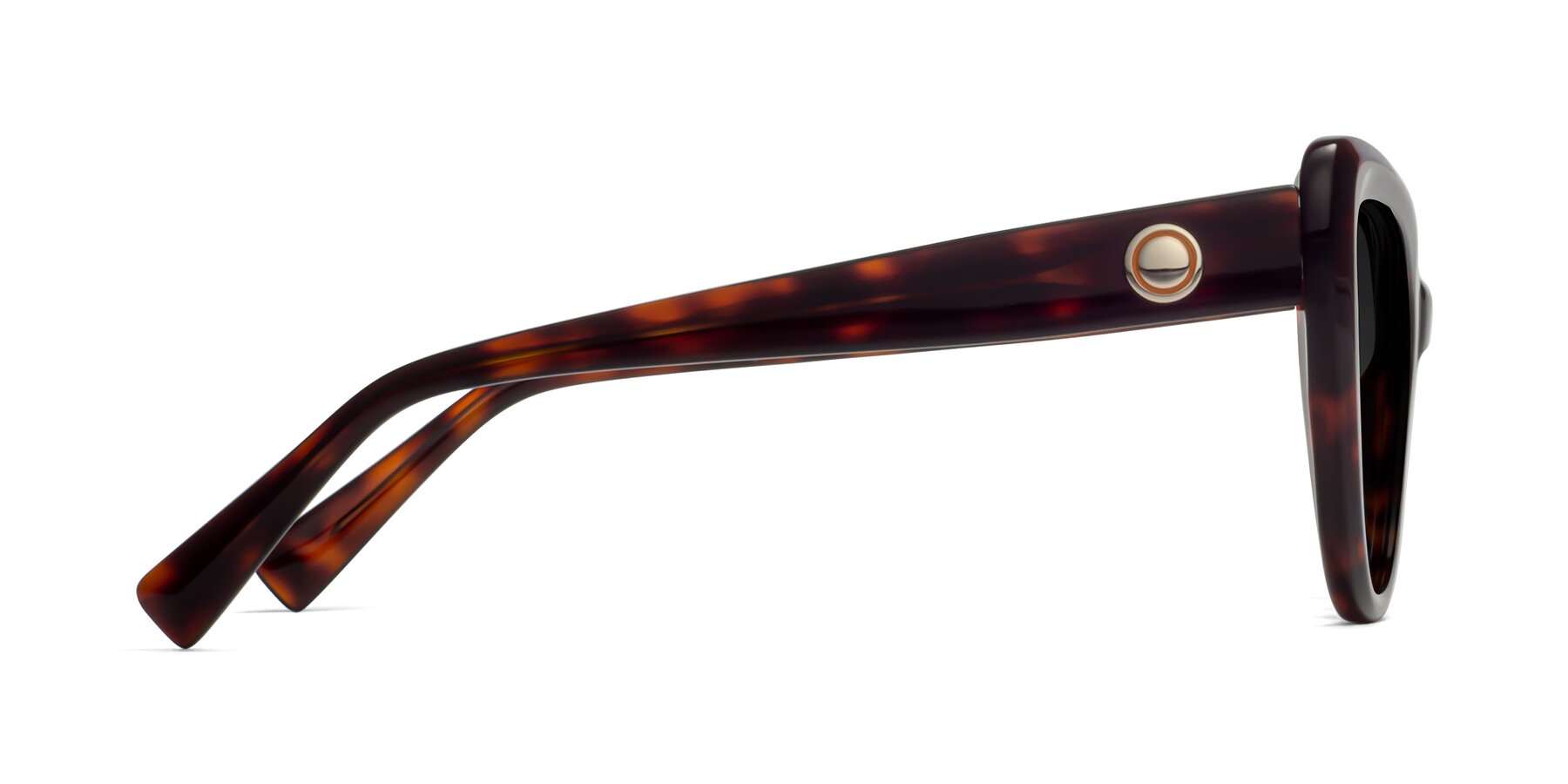 Side of 1574 in Tortoise with Gray Polarized TAC Lenses
