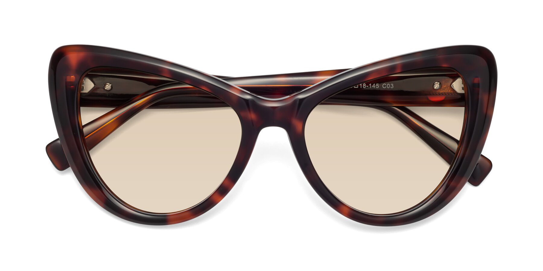 Folded Front of 1574 in Tortoise with Light Brown Tinted Lenses