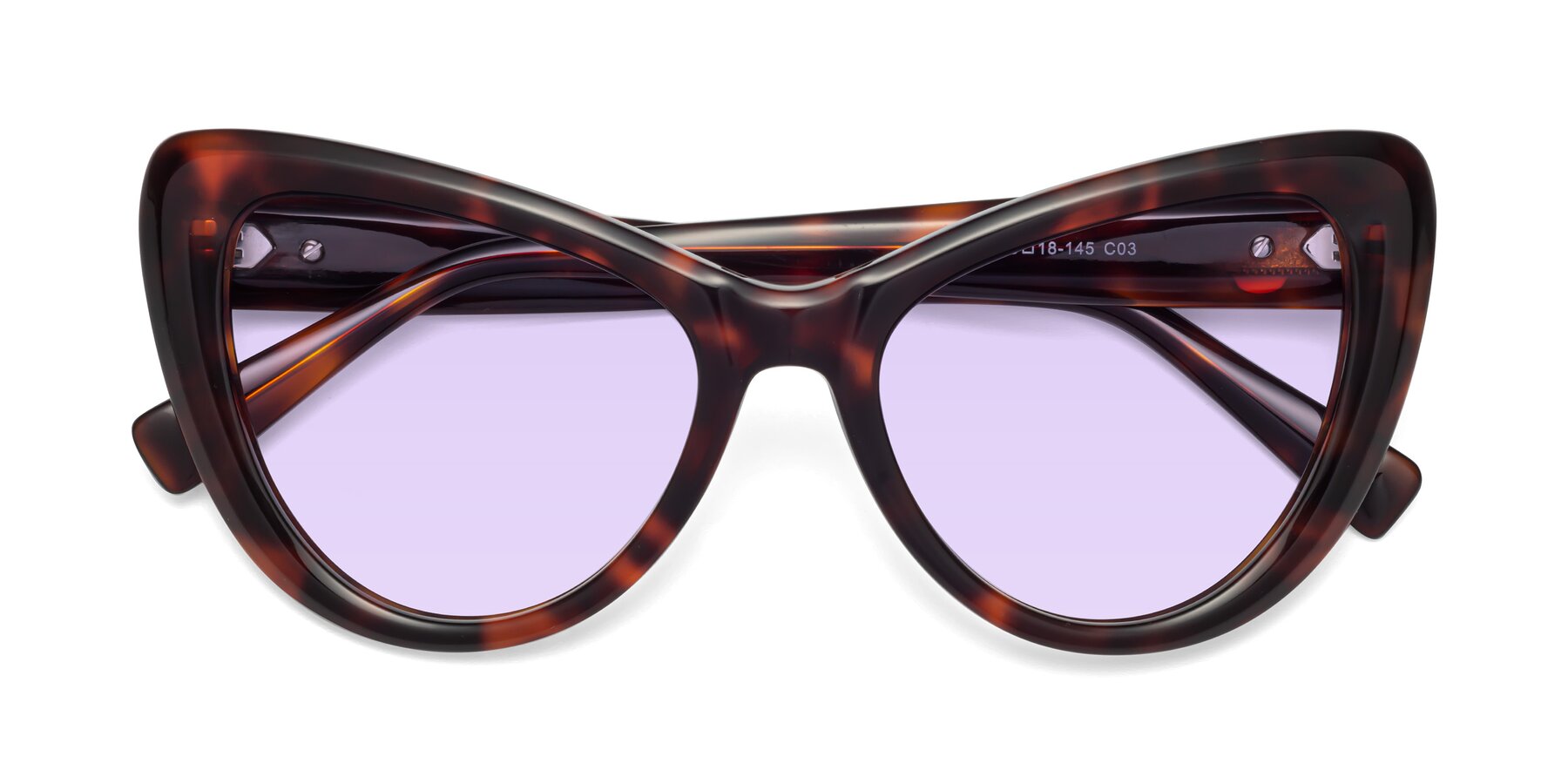 Folded Front of 1574 in Tortoise with Light Purple Tinted Lenses