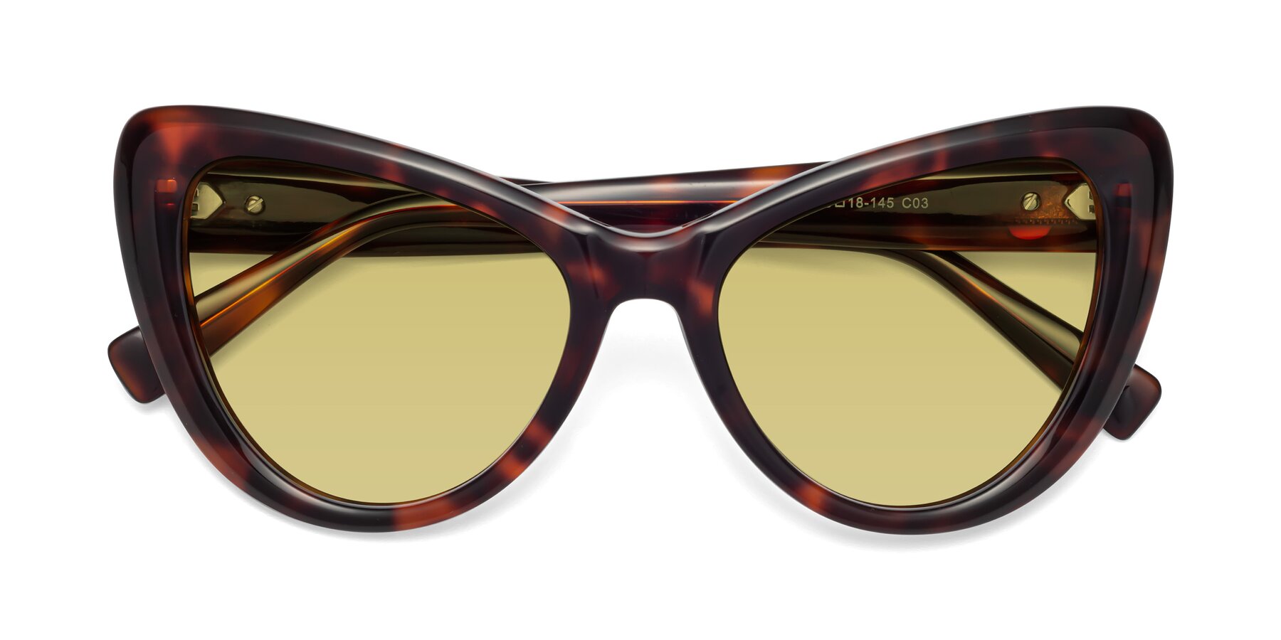 Folded Front of 1574 in Tortoise with Medium Champagne Tinted Lenses