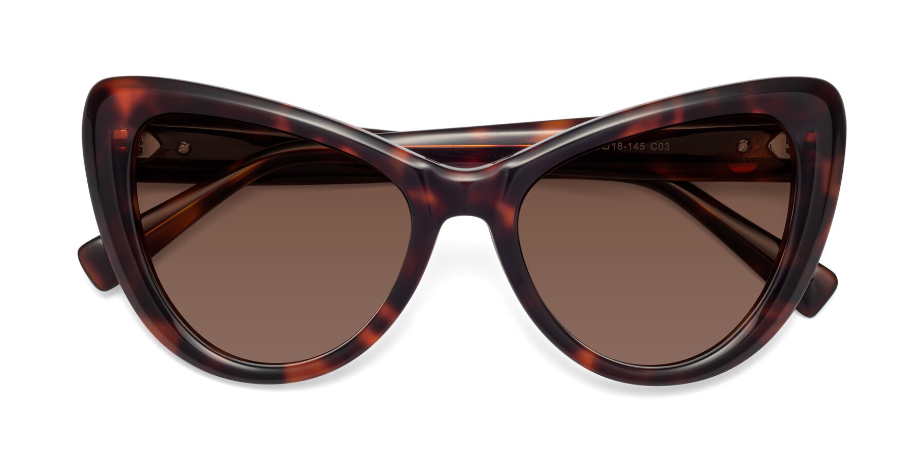 Folded Front of 1574 in Tortoise with Brown Tinted Lenses