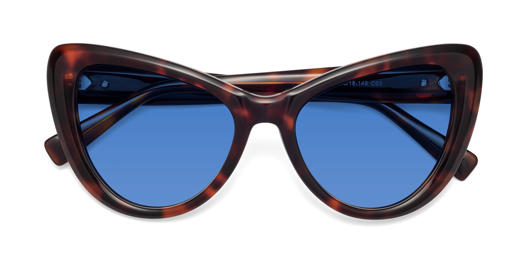Folded Front of 1574 in Tortoise with Blue Tinted Lenses