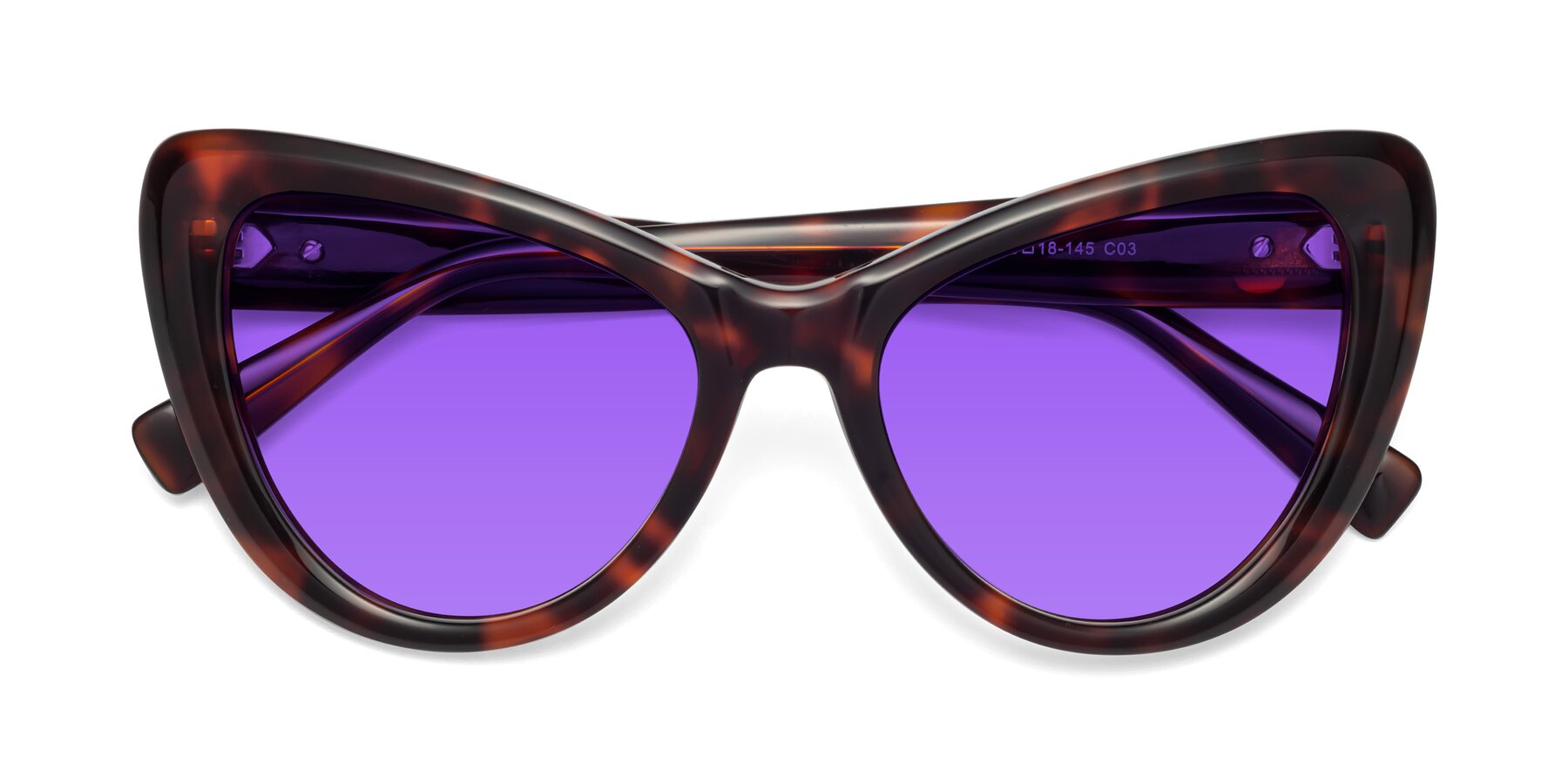 Folded Front of 1574 in Tortoise with Purple Tinted Lenses