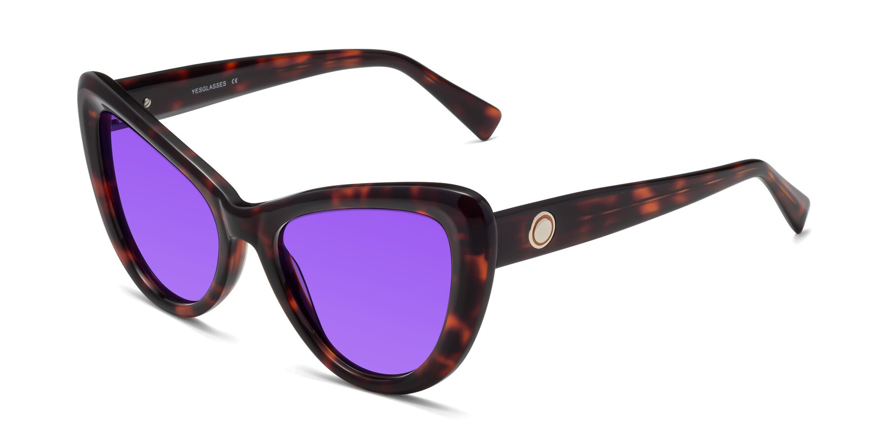 Angle of 1574 in Tortoise with Purple Tinted Lenses