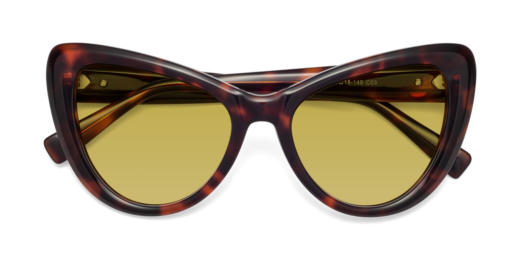 Folded Front of 1574 in Tortoise with Champagne Tinted Lenses