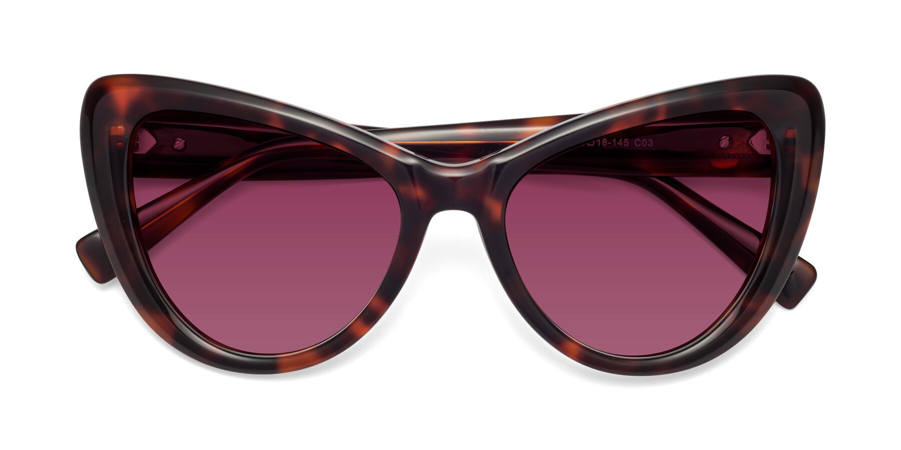 Folded Front of 1574 in Tortoise with Wine Tinted Lenses