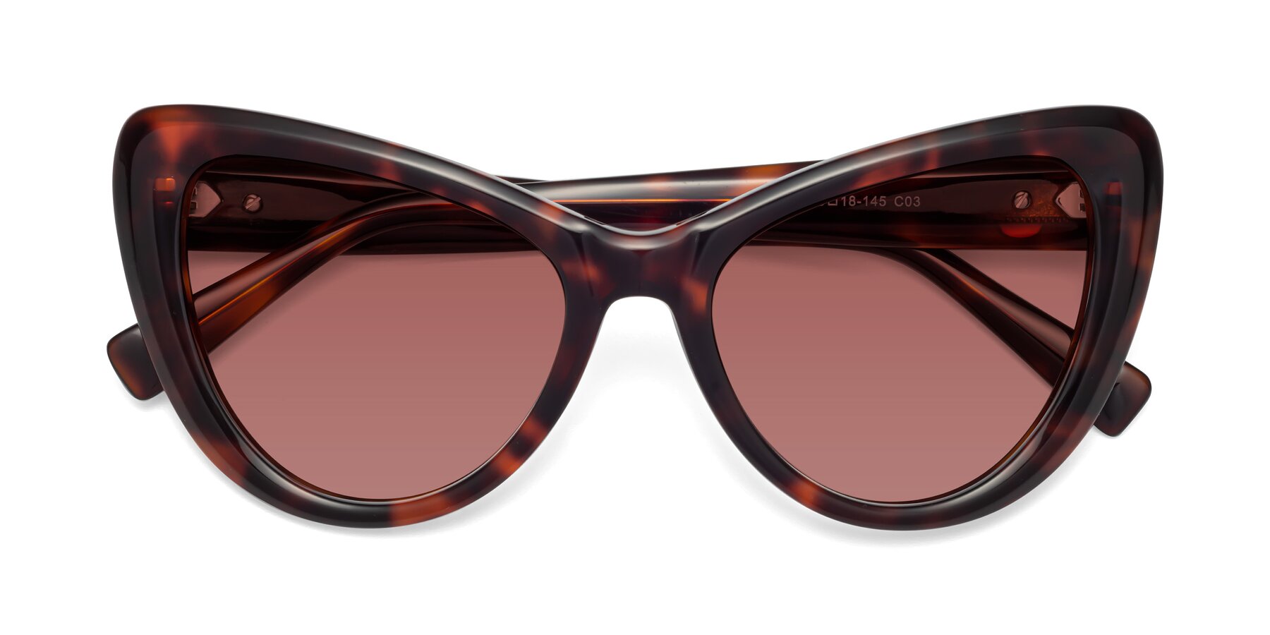 Folded Front of 1574 in Tortoise with Garnet Tinted Lenses