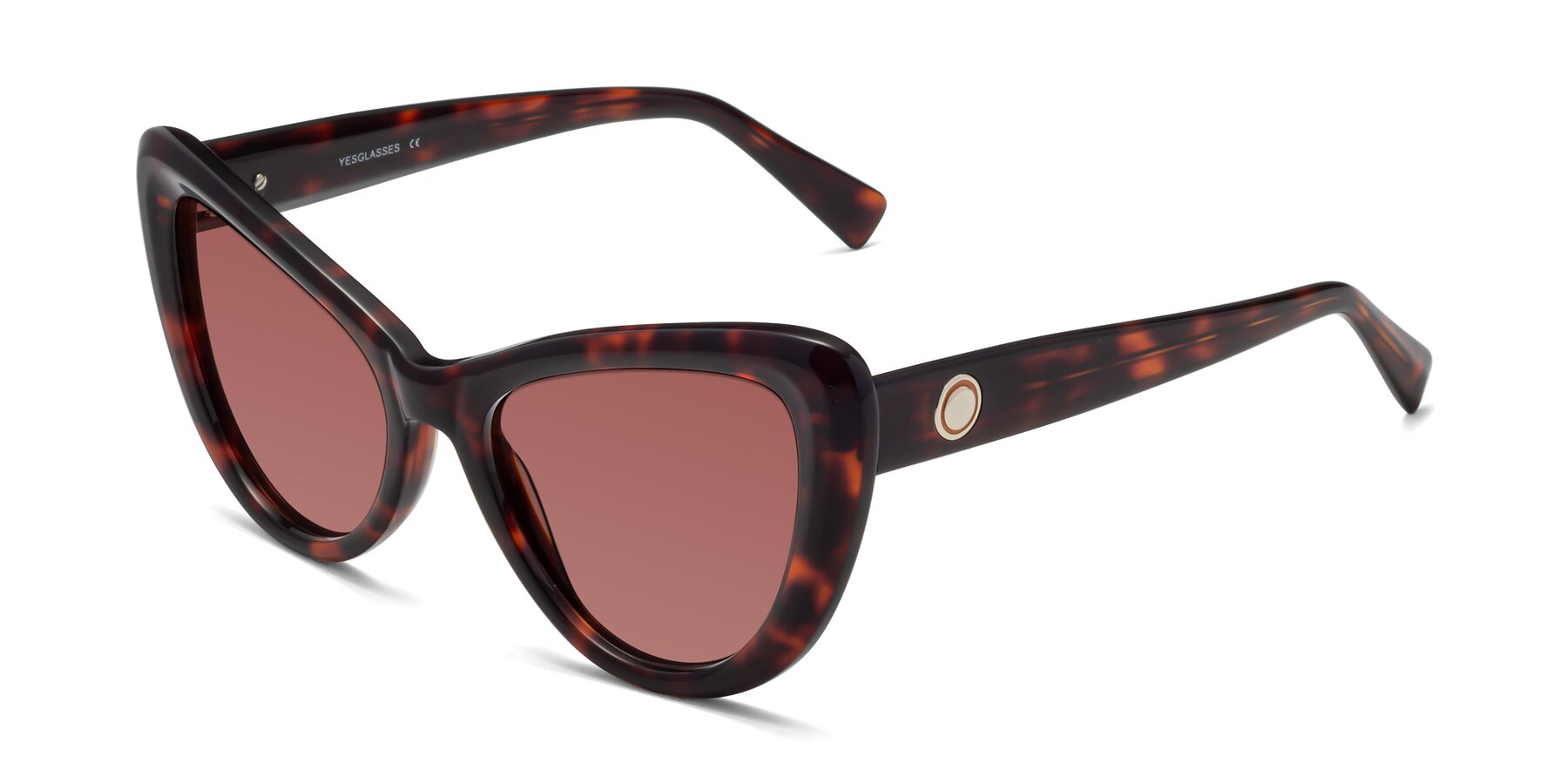 Angle of 1574 in Tortoise with Garnet Tinted Lenses