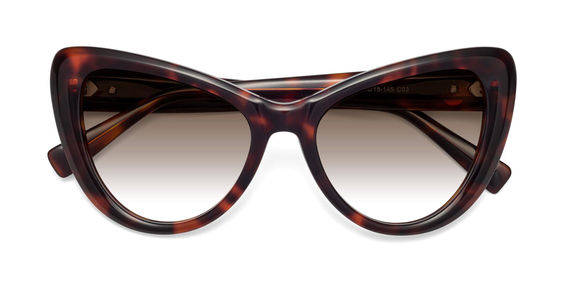 Folded Front of 1574 in Tortoise with Brown Gradient Lenses