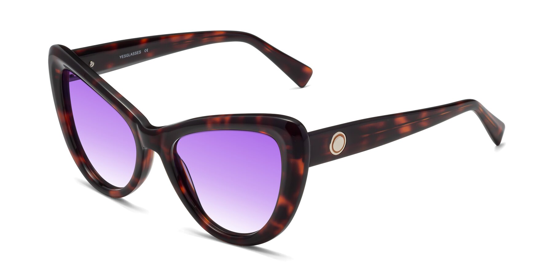 Angle of 1574 in Tortoise with Purple Gradient Lenses