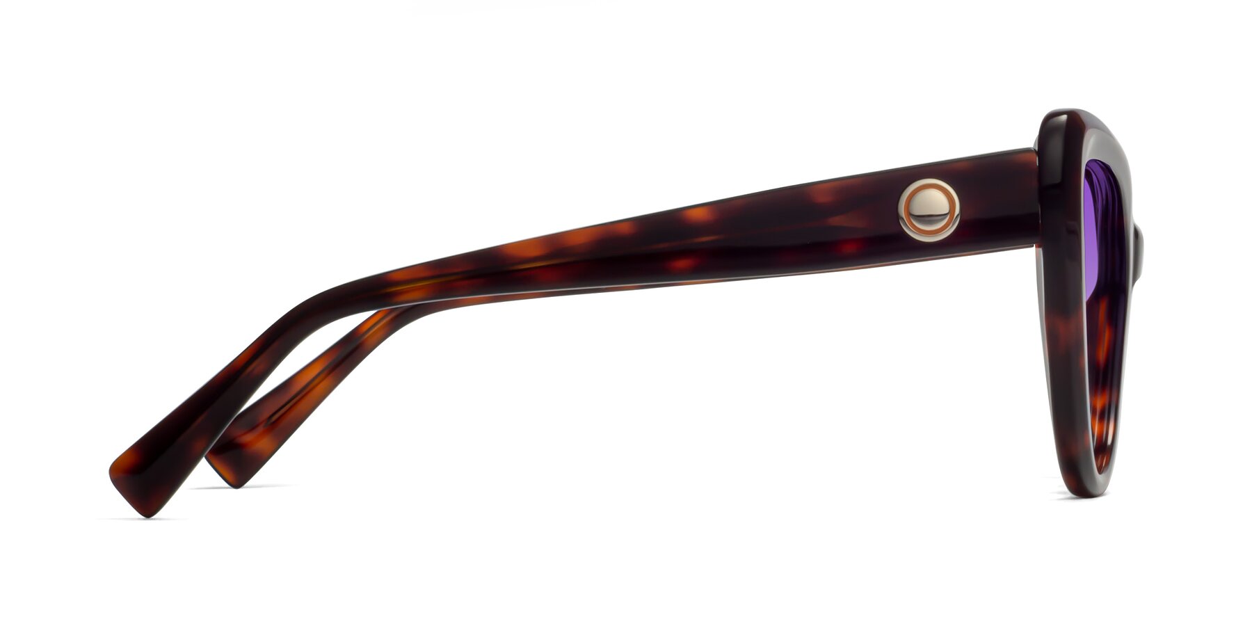 Side of 1574 in Tortoise with Purple Gradient Lenses