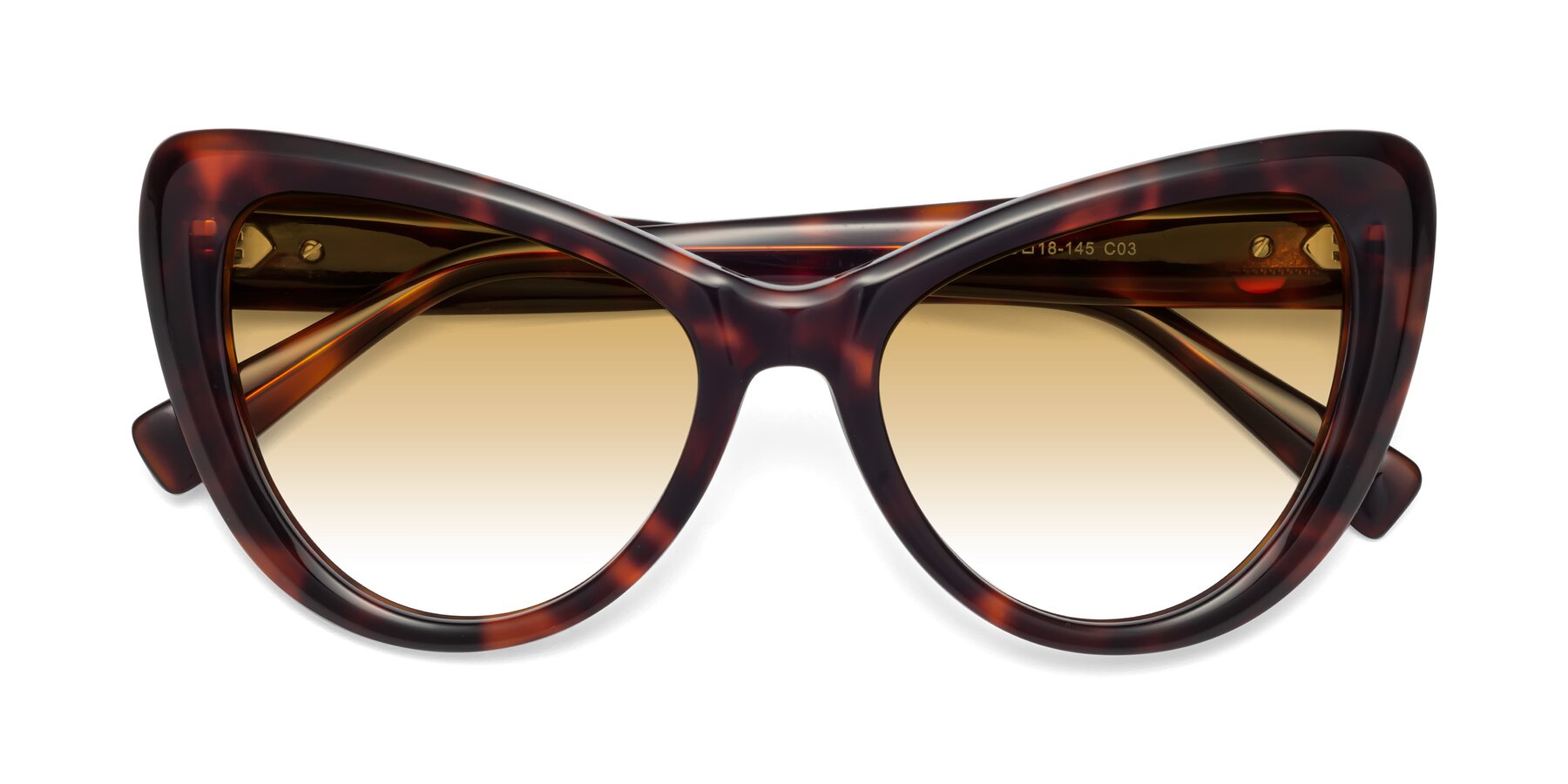 Folded Front of 1574 in Tortoise with Champagne Gradient Lenses