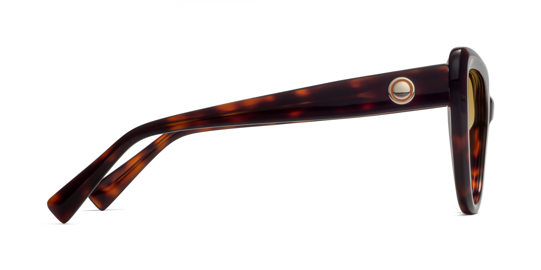 Side of 1574 in Tortoise with Champagne Gradient Lenses