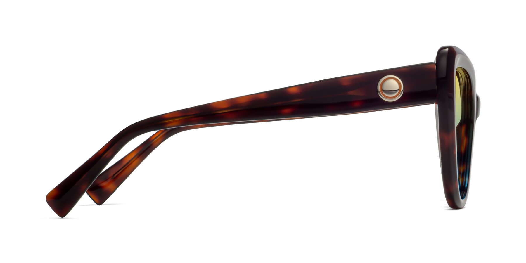 Side of 1574 in Tortoise with Yellow / Blue Gradient Lenses