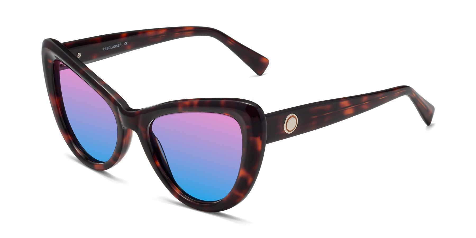 Angle of 1574 in Tortoise with Pink / Blue Gradient Lenses