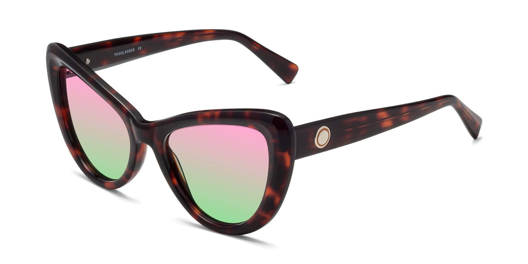 Angle of 1574 in Tortoise with Pink / Green Gradient Lenses
