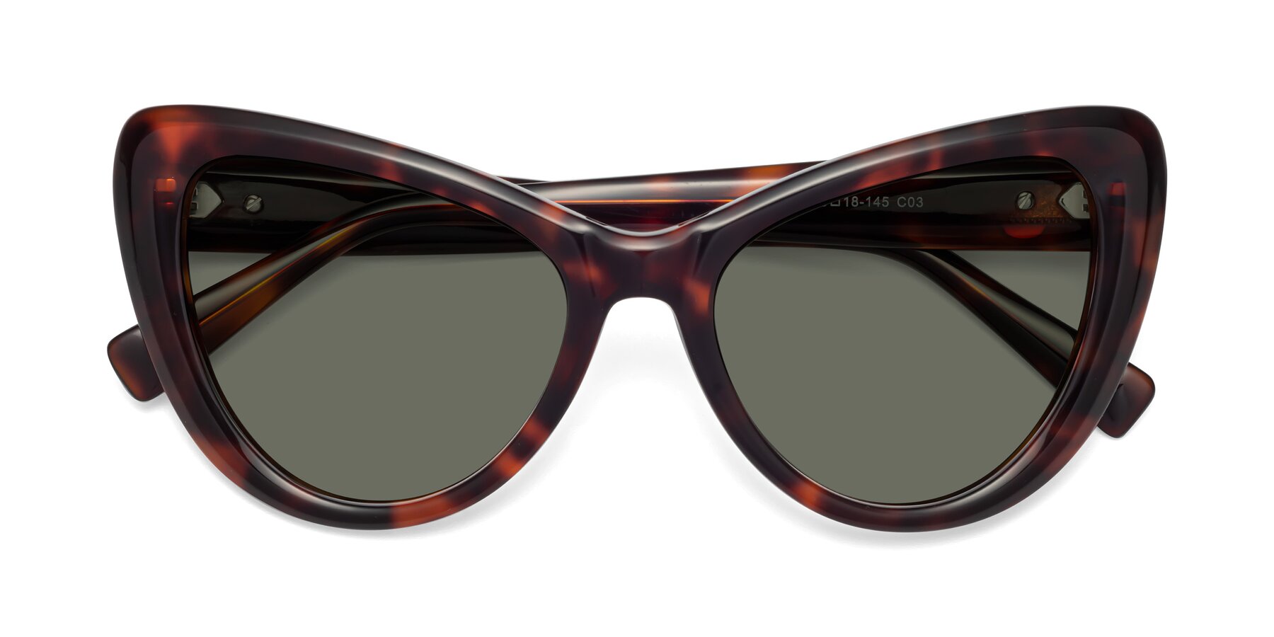 Folded Front of 1574 in Tortoise with Gray Polarized Lenses
