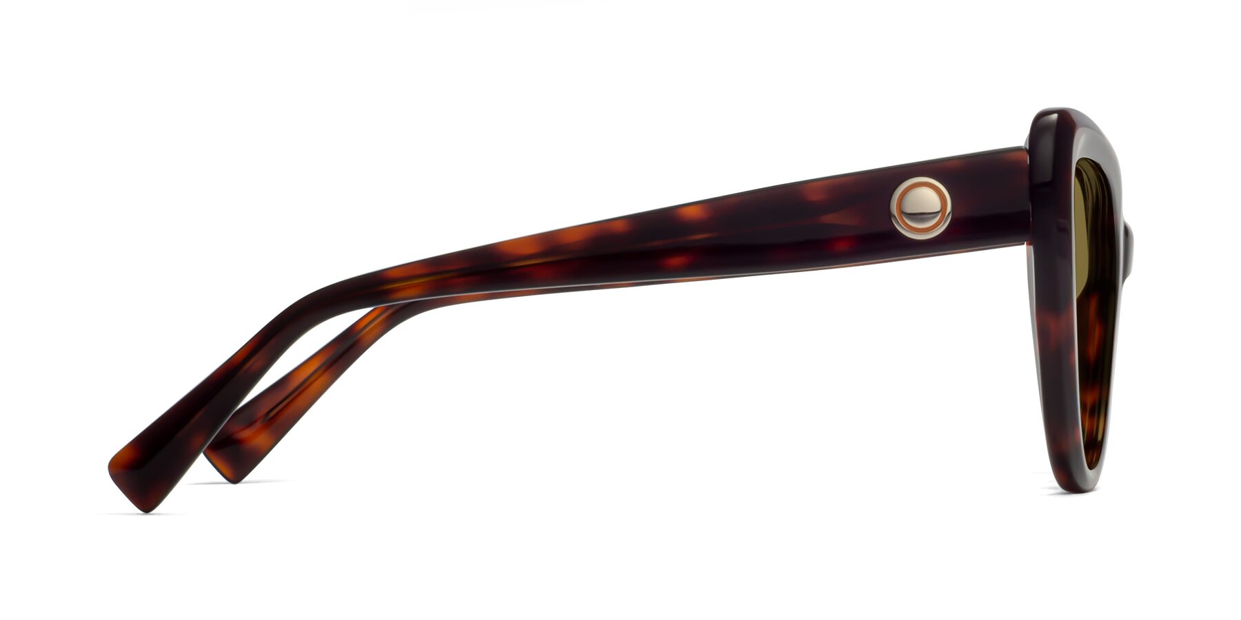Side of 1574 in Tortoise with Brown Polarized Lenses