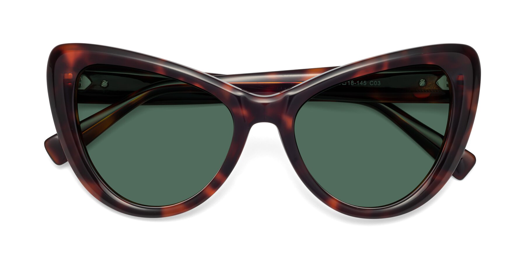 Folded Front of 1574 in Tortoise with Green Polarized Lenses