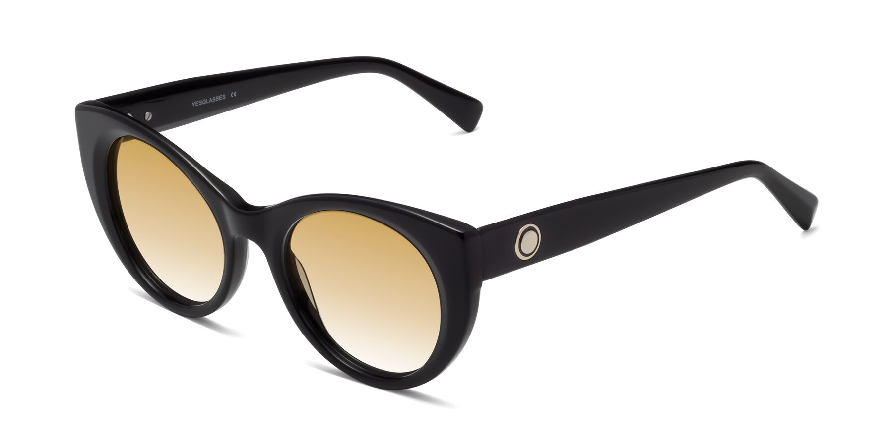 Angle of 1575 in Black with Champagne Gradient Lenses