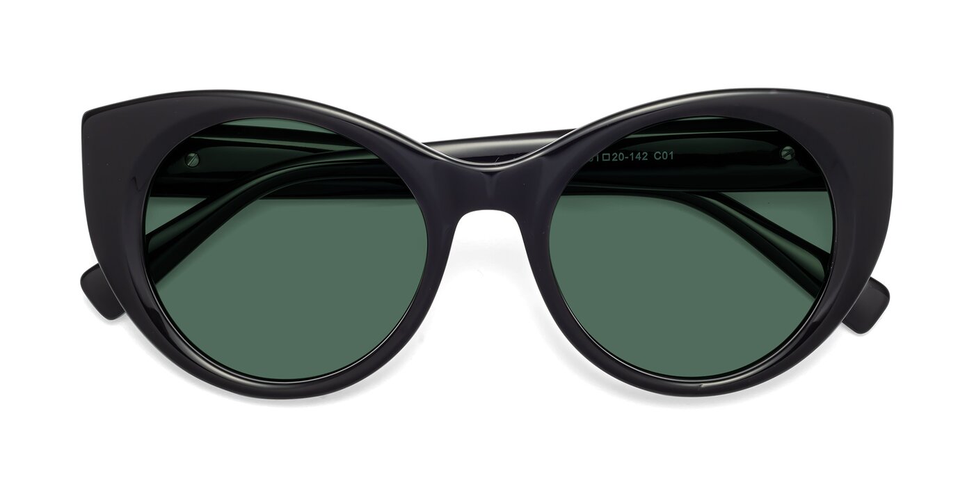 1575 - Black Polarized Sunglasses