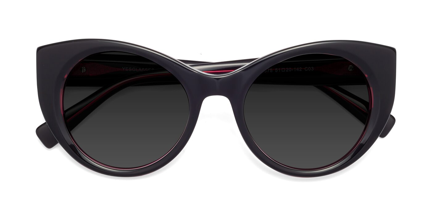 1575 - Black / Purple Polarized Sunglasses
