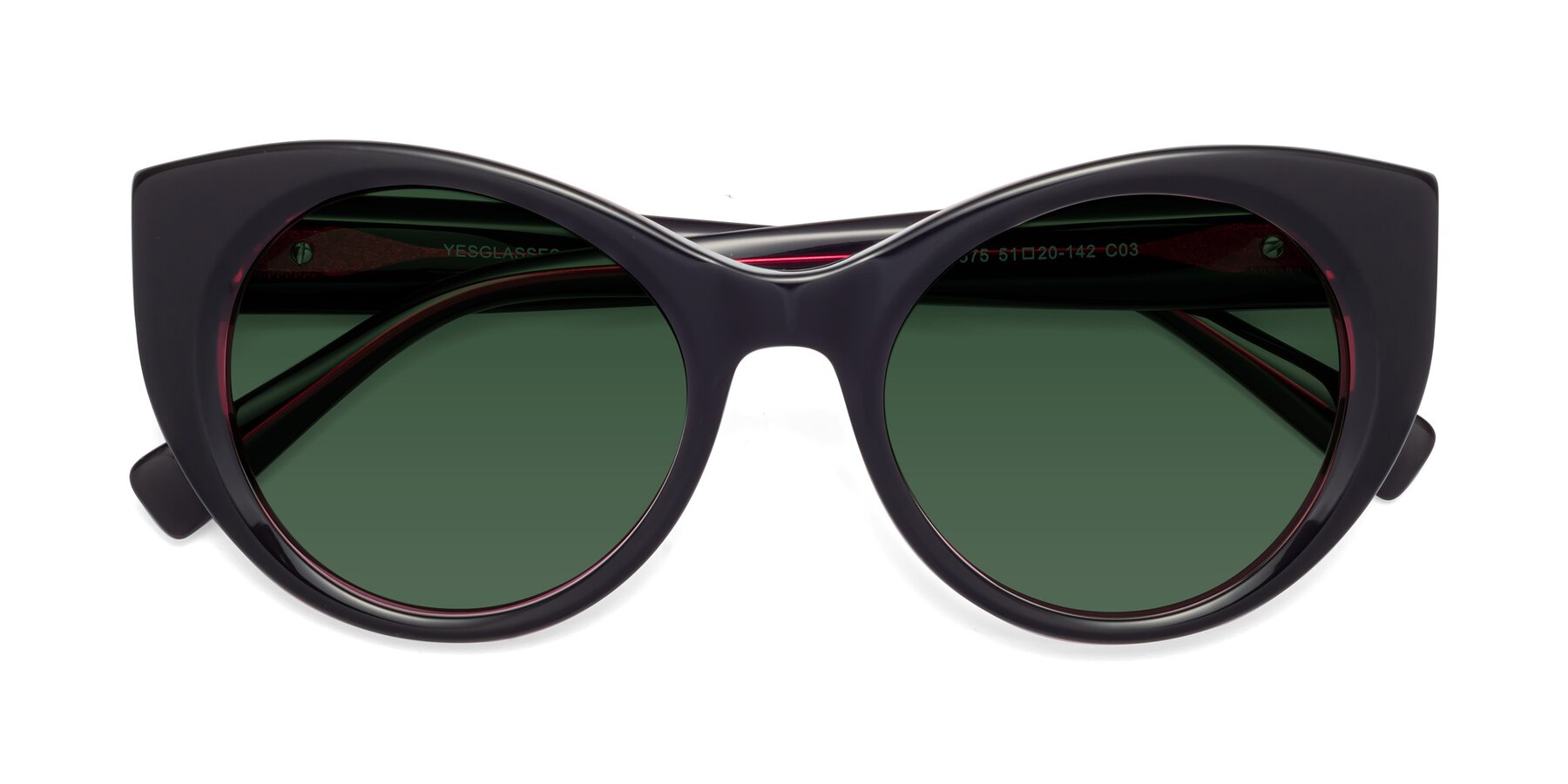 Folded Front of 1575 in Black-Purple with Green Tinted Lenses