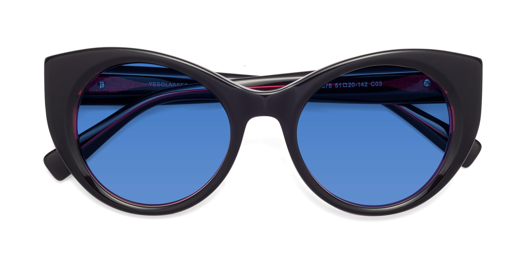 Folded Front of 1575 in Black-Purple with Blue Tinted Lenses