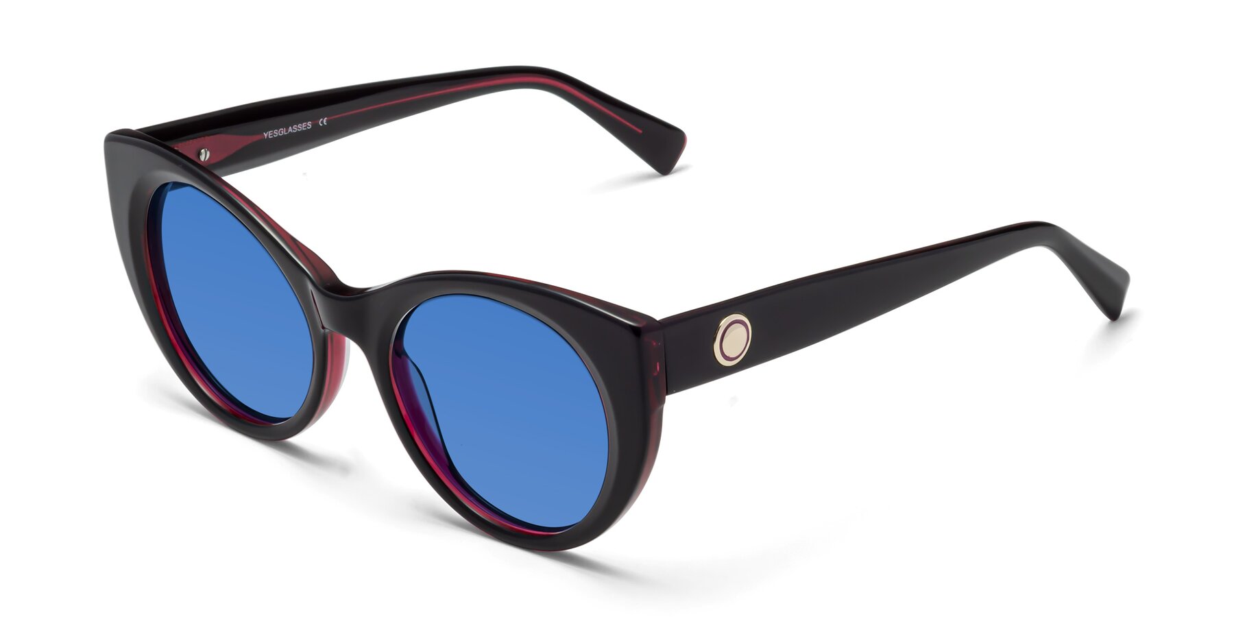 Angle of 1575 in Black-Purple with Blue Tinted Lenses
