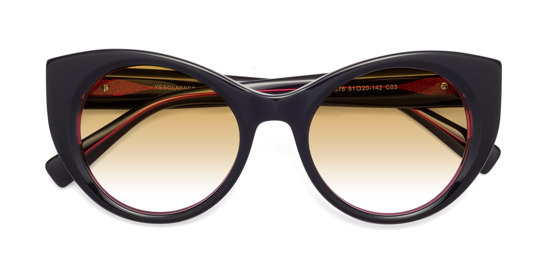 Folded Front of 1575 in Black-Purple with Champagne Gradient Lenses