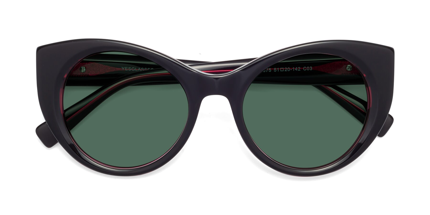 Folded Front of 1575 in Black-Purple with Green Polarized Lenses