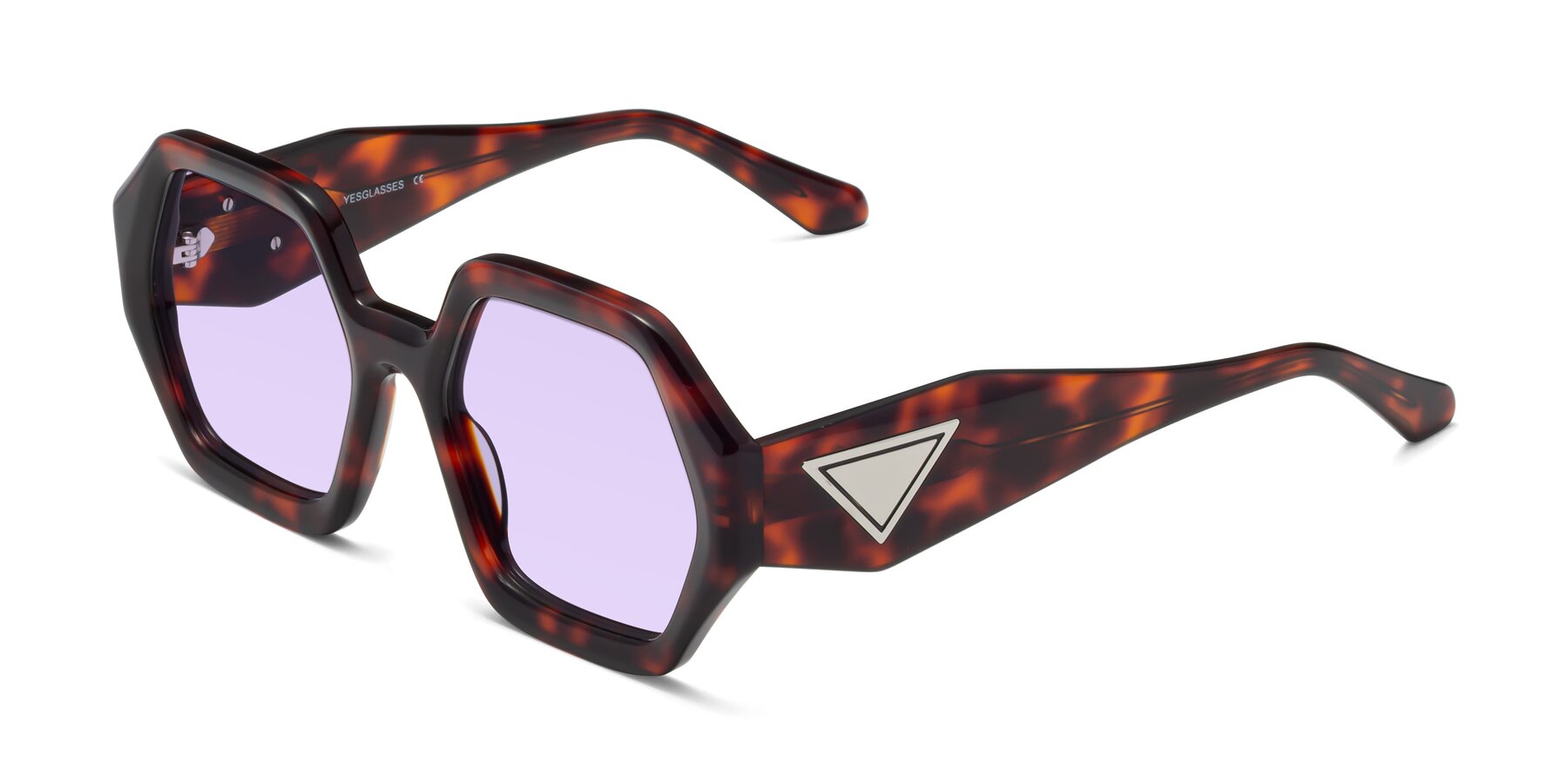 Angle of 1582 in Tortoise with Light Purple Tinted Lenses