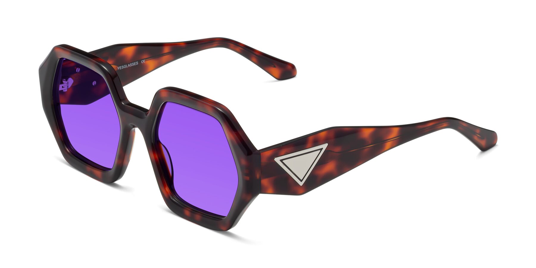 Angle of 1582 in Tortoise with Purple Tinted Lenses