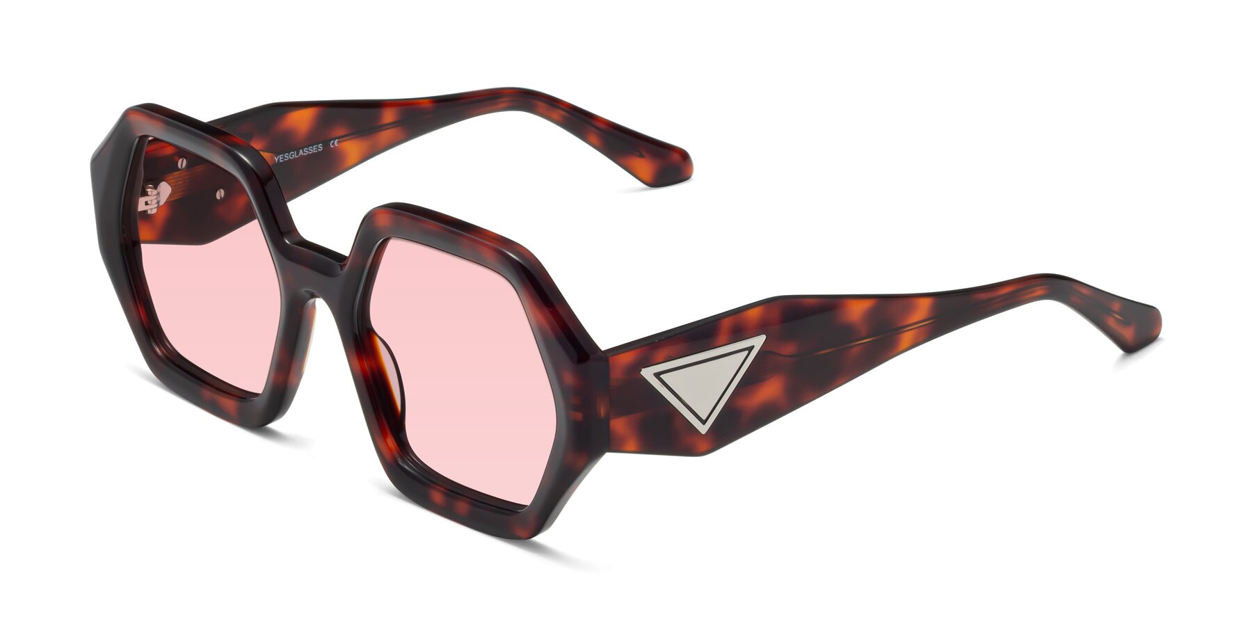 Angle of 1582 in Tortoise with Light Garnet Tinted Lenses